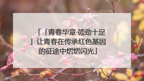 「青春华章·赣劲十足」让青春在传承红色基因的征途中熠熠闪光
