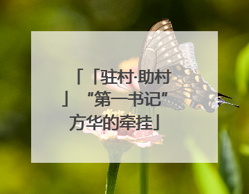 「驻村·助村」“第一书记”方华的牵挂