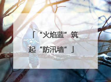“火焰蓝”筑起“防汛墙”