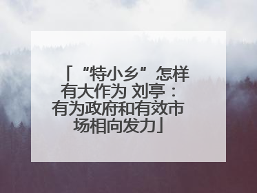 “特小乡”怎样有大作为 刘亭：有为政府和有效市场相向发力