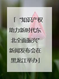 “知识产权助力新时代东北全面振兴”新闻发布会在黑龙江举办