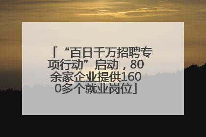 “百日千万招聘专项行动”启动，80余家企业提供1600多个就业岗位