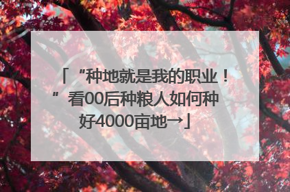 “种地就是我的职业！”看00后种粮人如何种好4000亩地→