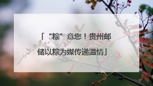 “粽”意您！贵州邮储以粽为媒传递温情