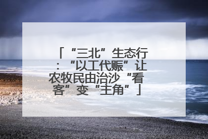 “三北”生态行：“以工代赈”让农牧民由治沙“看客”变“主角”