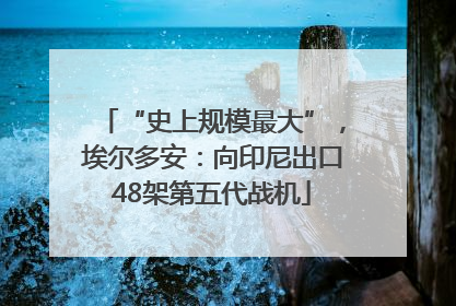 “史上规模最大”，埃尔多安：向印尼出口48架第五代战机
