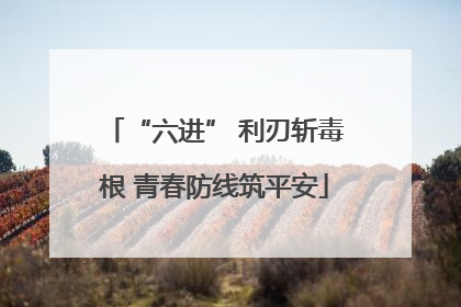 “六进” 利刃斩毒根 青春防线筑平安