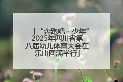 “奔跑吧・少年”2025年四川省第八届幼儿体育大会在乐山圆满举行