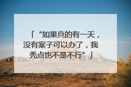 “如果真的有一天，没有案子可以办了，我秃点也不是不行”