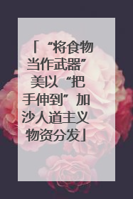“将食物当作武器” 美以“把手伸到”加沙人道主义物资分发