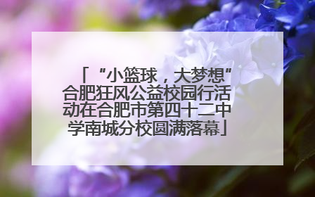 “小篮球，大梦想”合肥狂风公益校园行活动在合肥市第四十二中学南城分校圆满落幕