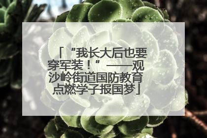 “我长大后也要穿军装！”——观沙岭街道国防教育点燃学子报国梦