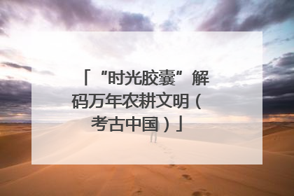 “时光胶囊”解码万年农耕文明（考古中国）