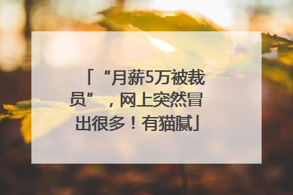 “月薪5万被裁员”，网上突然冒出很多！有猫腻