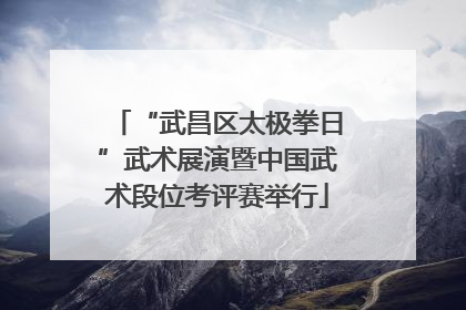 “武昌区太极拳日”武术展演暨中国武术段位考评赛举行
