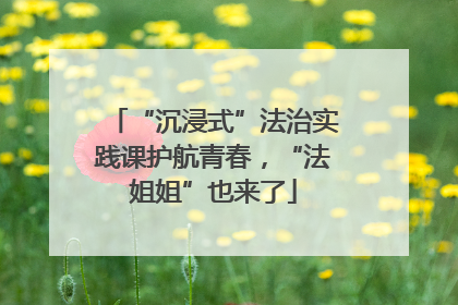 “沉浸式”法治实践课护航青春，“法姐姐”也来了