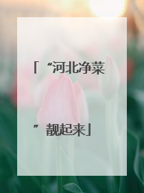 “河北净菜”靓起来