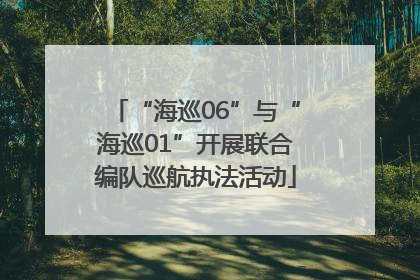 “海巡06”与“海巡01”开展联合编队巡航执法活动