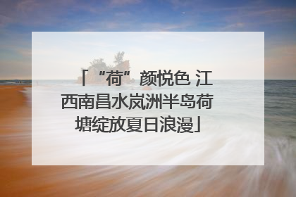 “荷”颜悦色 江西南昌水岚洲半岛荷塘绽放夏日浪漫