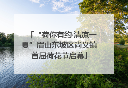 “荷你有约·清凉一夏”眉山东坡区尚义镇首届荷花节启幕