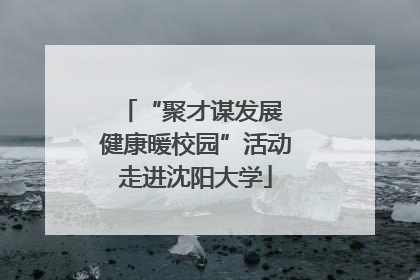 “聚才谋发展 健康暖校园”活动走进沈阳大学