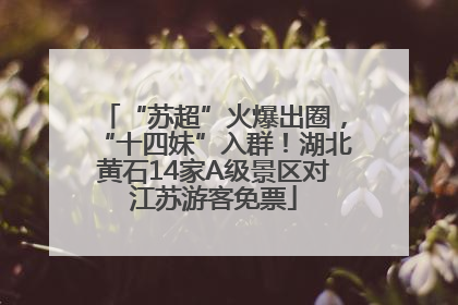 “苏超”火爆出圈，“十四妹”入群！湖北黄石14家A级景区对江苏游客免票