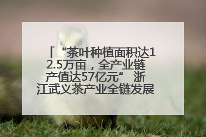 “茶叶种植面积达12.5万亩，全产业链产值达57亿元” 浙江武义茶产业全链发展“加速度”