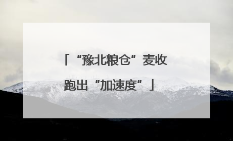 “豫北粮仓”麦收跑出“加速度”