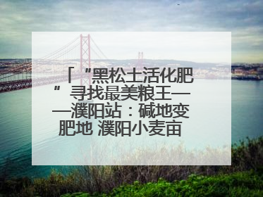 “黑松土活化肥”寻找最美粮王——濮阳站：碱地变肥地 濮阳小麦亩产1500多斤