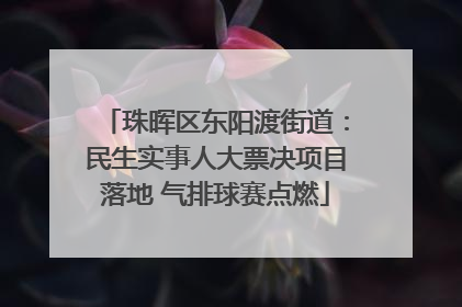 珠晖区东阳渡街道：民生实事人大票决项目落地 气排球赛点燃