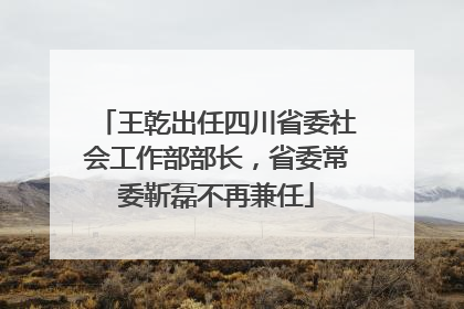 王乾出任四川省委社会工作部部长，省委常委靳磊不再兼任