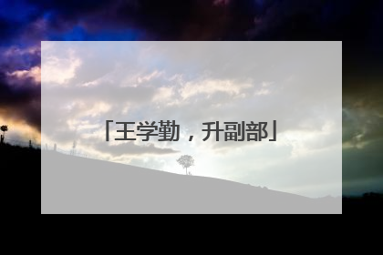 王学勤，升副部