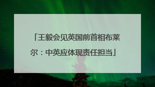 王毅会见英国前首相布莱尔：中英应体现责任担当