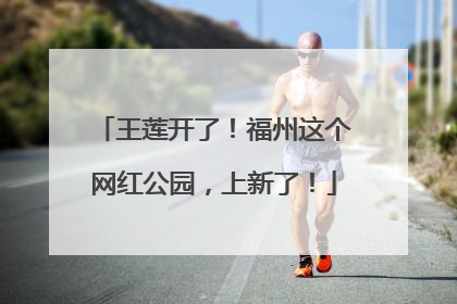 王莲开了！福州这个网红公园，上新了！