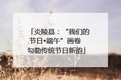 炎陵县：“我们的节日•端午”画卷 勾勒传统节日新韵