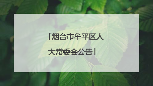 烟台市牟平区人大常委会公告