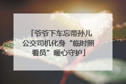 爷爷下车忘带孙儿 公交司机化身“临时照看员”暖心守护