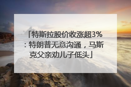 特斯拉股价收涨超3%：特朗普无意沟通，马斯克父亲劝儿子低头