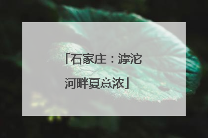 石家庄：滹沱河畔夏意浓