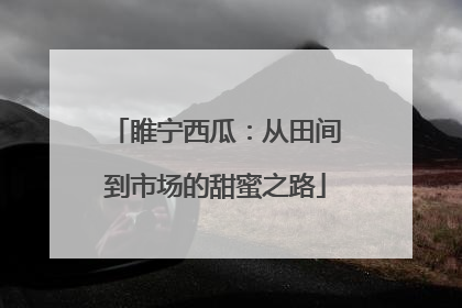 睢宁西瓜：从田间到市场的甜蜜之路