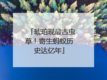 琥珀现最古虫草！寄生蚂蚁历史达亿年