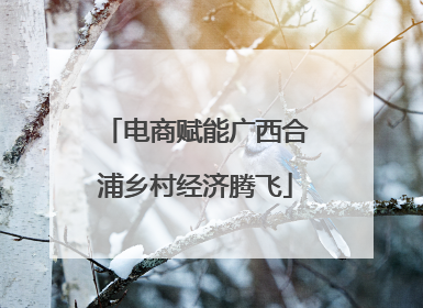 电商赋能广西合浦乡村经济腾飞