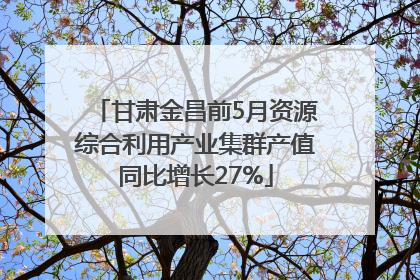甘肃金昌前5月资源综合利用产业集群产值同比增长27%