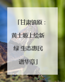 甘肃镇原：黄土塬上绘新绿 生态惠民谱华章
