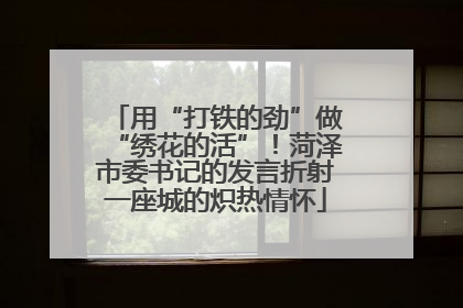 用“打铁的劲”做“绣花的活”！菏泽市委书记的发言折射一座城的炽热情怀