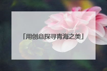 用创意探寻青海之美
