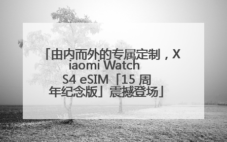 由内而外的专属定制，Xiaomi Watch S4 eSIM「15 周年纪念版」震撼登场