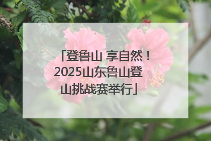 登鲁山 享自然！2025山东鲁山登山挑战赛举行