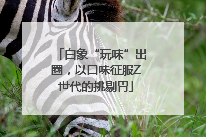 白象“玩味”出圈，以口味征服Z世代的挑剔胃