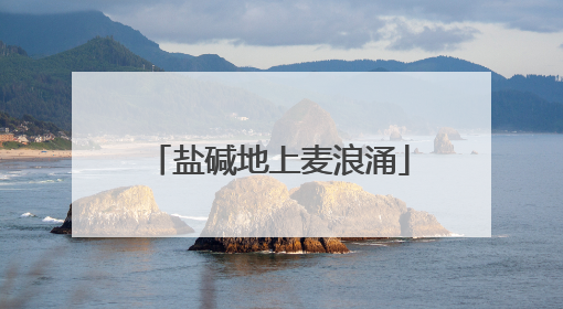 盐碱地上麦浪涌